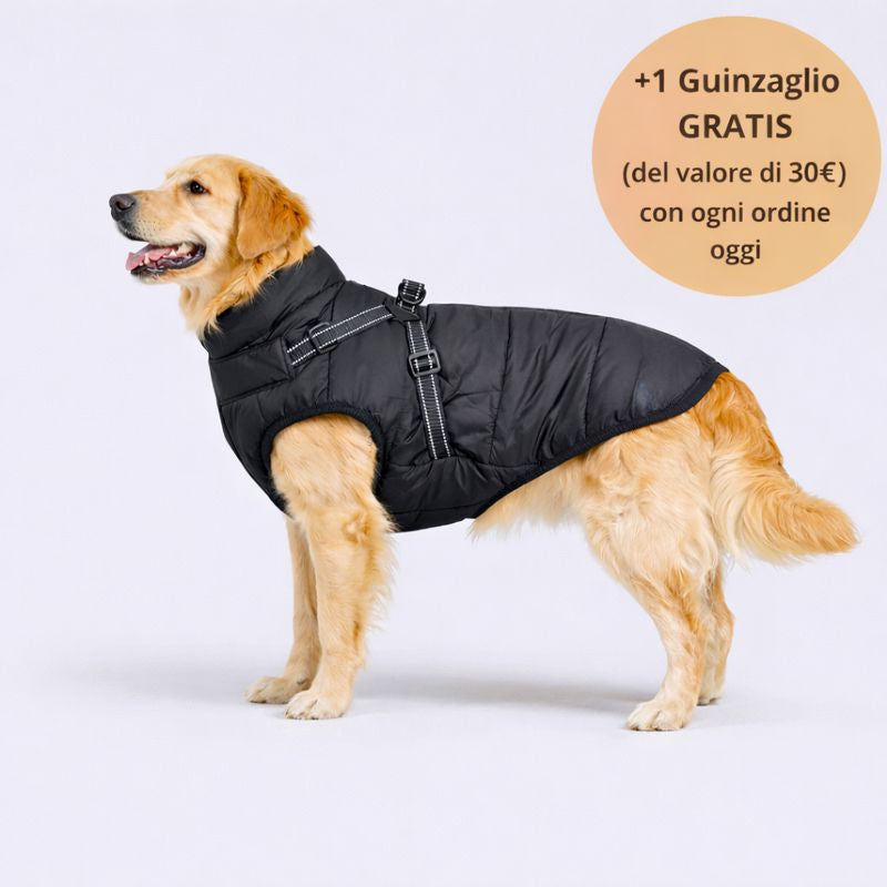 Emporio Animale™ Giacca Invernale 3 in 1 + Guinzaglio OMAGGIO