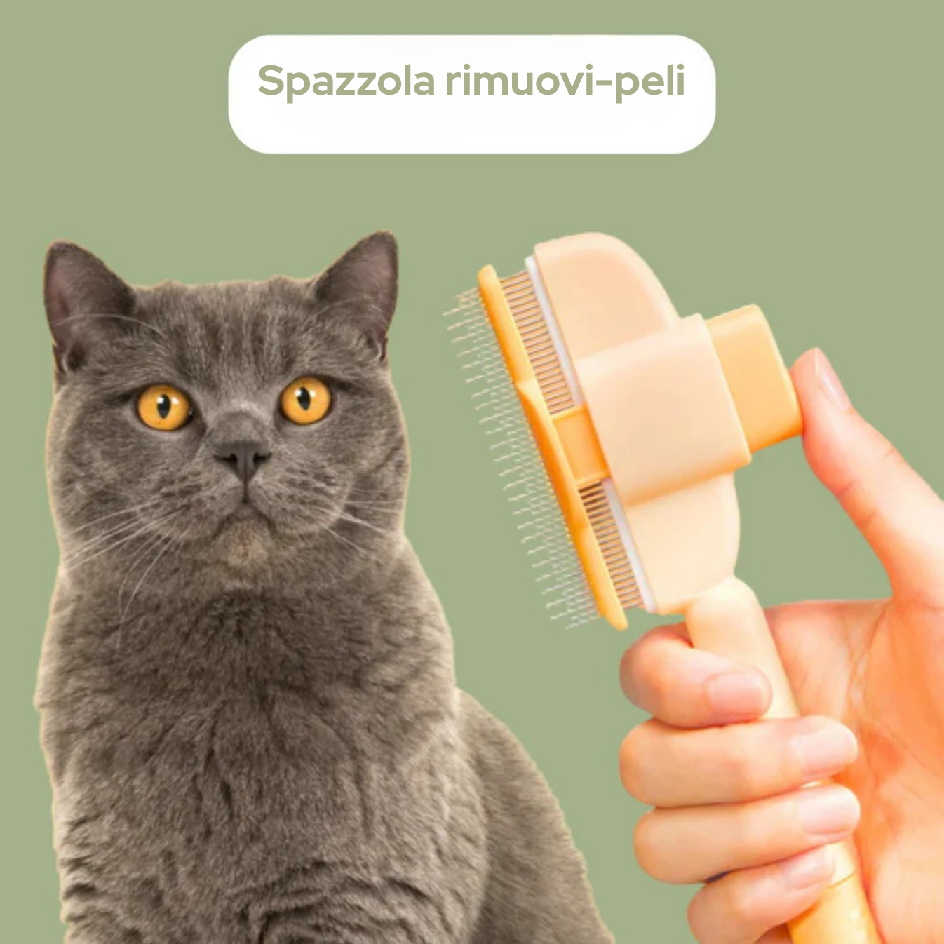 Spazzola levapeli per animali