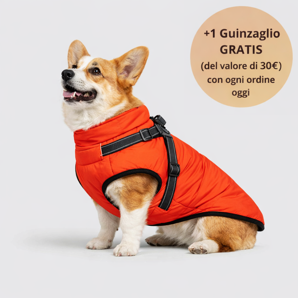 Emporio Animale™ Giacca Invernale 3 in 1 + Guinzaglio OMAGGIO